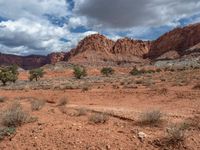 Open Space Landscape in Capitol Reef, Utah