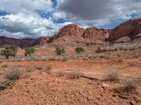 Open Space Landscape in Capitol Reef, Utah