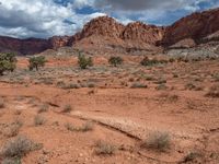 Open Space Landscape in Capitol Reef, Utah