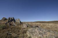 Open Space Landscape with Clear Sky