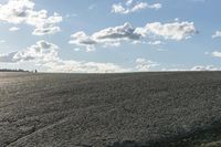 Open Space Landscape: A Field of Grass