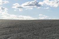 Open Space Landscape: A Field of Grass