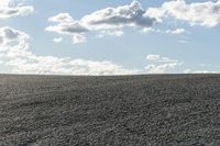 Open Space Landscape: A Field of Grass