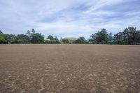 Open Space Landscape with Grass and Road Surface