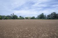 Open Space Landscape with Grass and Road Surface