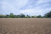 Open Space Landscape with Grass and Road Surface