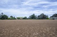 Open Space Landscape with Grass and Road Surface