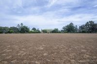 Open Space Landscape with Grass and Road Surface