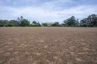 Open Space Landscape with Grass and Road Surface