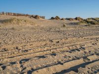 sandy beach with footprints and trees in the background on the sand dunes of a beach