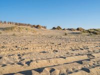 sandy beach with footprints and trees in the background on the sand dunes of a beach