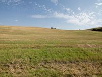 Open Space Landscape in Tuscany, Italy