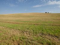 Open Space Landscape in Tuscany, Italy