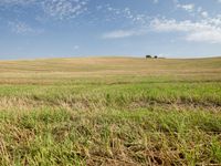 Open Space Landscape in Tuscany, Italy