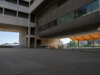 Open Spaces and Modern Designs in Los Angeles