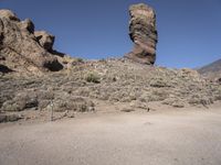 Open Space Nature Reserve: Exploring the Beauty of Europe