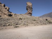 Open Space Nature Reserve: Exploring the Beauty of Europe