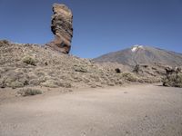 Open Space Nature Reserve: Exploring the Beauty of Europe