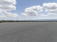 several windmills can be seen in the background as well as a paved road in the foreground