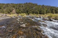 Open Space: A River Bank with Scenic Views