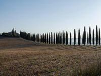 a small hill with trees that are in the background and water and land surrounding them