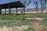 Open Space in Rural Colorado: A Serene Landscape