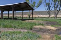 Open Space in Rural Colorado: A Serene Landscape