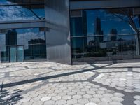 the outside of a building with a shadow of a tree on a pavement and there are skyscrapers in the distance