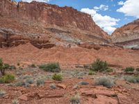 USA's Open Space: Capitol Reef Landscape