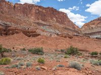 USA's Open Space: Capitol Reef Landscape