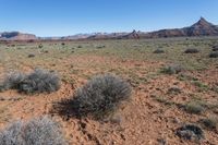 a desert area with sparse brush and rocks, and mountains in the distance on a sunny day