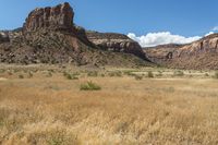 Open Space in the Valley: Stunning Grass Surfaces