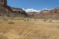 Open Space in the Valley: Stunning Grass Surfaces