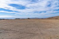 Open Space View: Nature Landscape