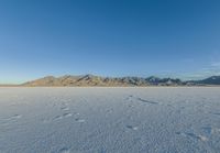 a lone snowy plain with many footprints, mountains in the background and a blue sky