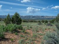 Open Spaces and Campgrounds in Utah: Discover the Serenity