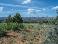 Open Spaces and Campgrounds in Utah: Discover the Serenity