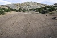 Open Spaces in the USA: A Blend of Grass and Mountains