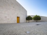 the yellow door is open to a large white wall with trees in it and in the middle of the concrete courtyard