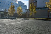 street with empty parking space next to building in open area and trees in foreground