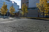 street with empty parking space next to building in open area and trees in foreground