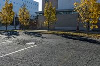 street with empty parking space next to building in open area and trees in foreground