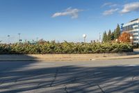 a street with some bushes and buildings in the back ground with blue skies above it