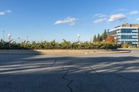 a street with some bushes and buildings in the back ground with blue skies above it