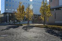 an asphalt parking lot with two trees that have been left in front of the building