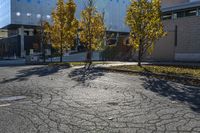 an asphalt parking lot with two trees that have been left in front of the building