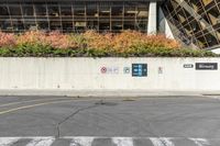 the traffic light is near a very high wall with some signs written in front of it