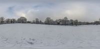 an overcast picture shows the snow in a small park, and trees are in the background