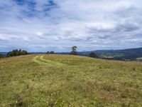 the grassy field on top of a hill with two trees on it and mountains in the background