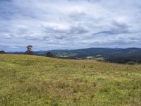 the grassy field on top of a hill with two trees on it and mountains in the background